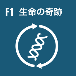 F1 ç”Ÿå‘½ã�®å¥‡è·¡